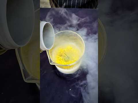 Flowers in liquid nitrogen #shorts