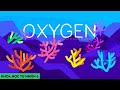 Vai trò của oxy trong sự sống