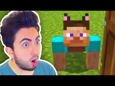 ¿Y ESTE GATO de MINECRAFT?