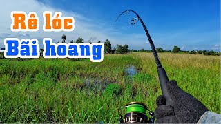 Rê cá lóc nằm trong những bãi cỏ hoang | THÚ VUI MIỀN TÂY. 55
