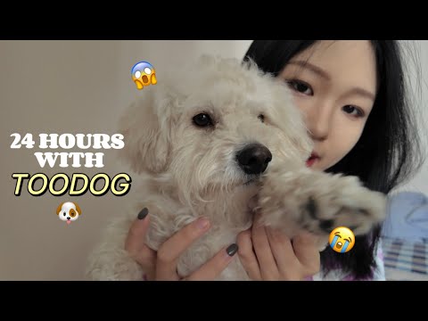 НОХОЙТОЙ НЭГ ӨДӨР 😱🐶🦮 [its not easy ㅠㅠ]