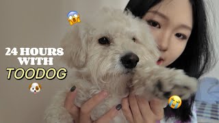 НОХОЙТОЙ НЭГ ӨДӨР 😱🐶🦮 [its not easy ㅠㅠ]