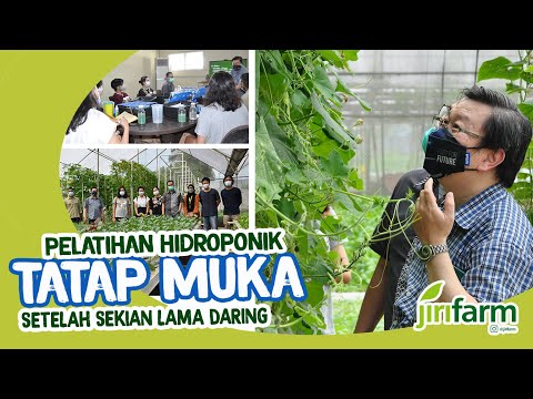 PELATIHAN HIDROPONIK tatap muka langsung praktik terjun lapangan. #pelatihanhidroponik #hidroponik