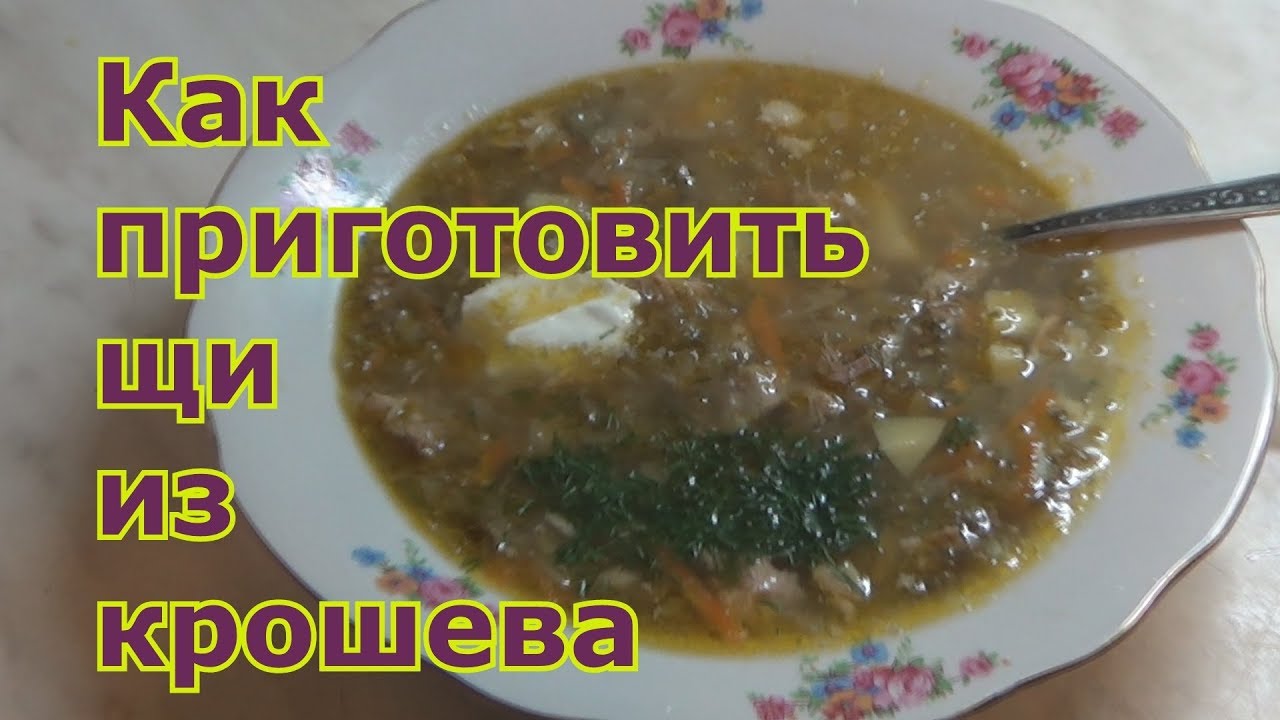 Щи из крошева. Серые или зеленые щи