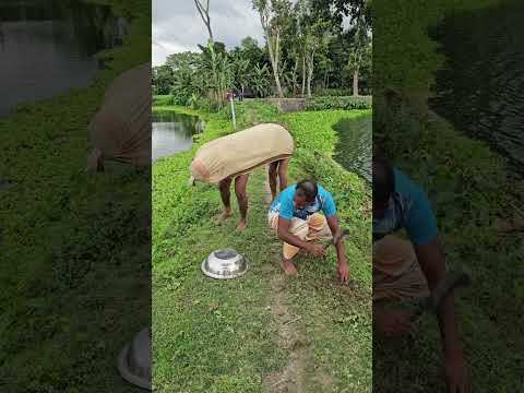 A foot on his head77