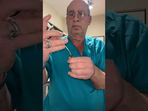 Tube Feeding a Venomous Coral Snake