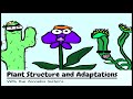 Plant Adaptations and Functions