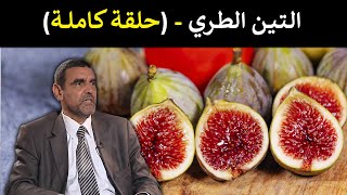 🔹 التين 🍈 معجزة طبيعية لجهازك الهضمي! 🌟 د. محمد الفايد #برنامج_نخل_ورمان 🌴