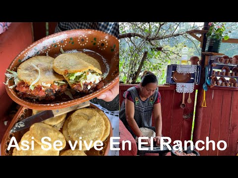 Como Hacer Gorditas De Chicharrón Prensado Asi Se vive En El Rancho