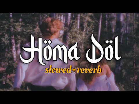 Homa Dol (Slowed + Reverb) Lofi - Saad Lamjarred, Neeti Mohan | Md Abidur Rahaman | Romantic 2025