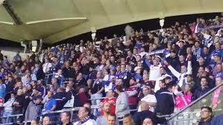 Hamburger SV - Bielefeld