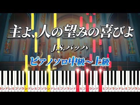 【楽譜あり】主よ、人の望みの喜びよ/J.S.バッハ（ピアノソロ中級～上級）【ピアノアレンジ楽譜】Jesu, Joy of Man's Desiring/J.S.Bach