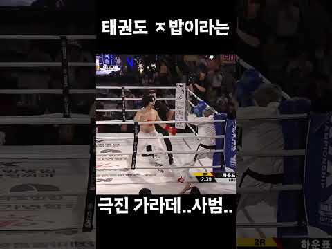 태권도 개 무시했다 개박살난 극진가라데 사범