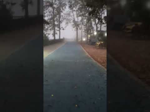 ตี5จากเขียงคานอากาศดีมากเข้าๆๆ🤟😍 ตัวแสบ&ตัวร้าย สถานีลูกทุ่ง ตี5จากเขียงคานอากาศดีมากเข้าๆๆ🤟😍