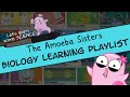 Amoeba Sisters Video Insights