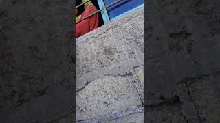 como  ben  al morrillo  comenten