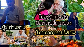 ep 959 กลับถึงบ้านเรียบร้อยแล้ว มะเขือเทศสุกเต็มสวน, ลูกพรุนหล่นเต็มดิน , คุณย่าดีใจได้ของฝาก