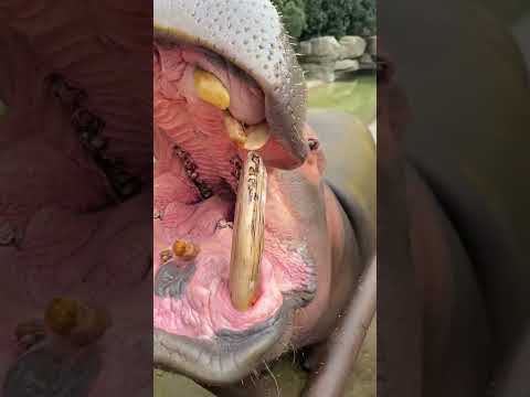 Brother Qi, I suspect you are fooling me but I am not sure. You make me look stupid. Changxing C