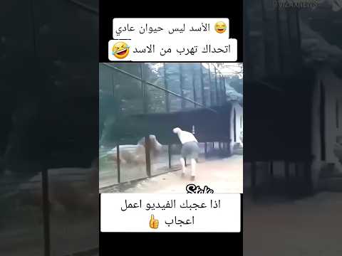 رجل يختبر سرعة الأسد 😂 #funny #shorts #abu_qais24 #الشعب_الصيني_ماله_دخل