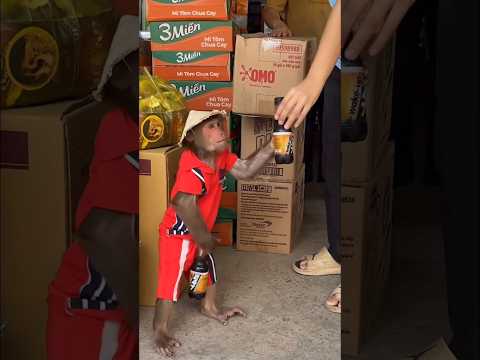 Kitna samajhdaar baccha hai #comedy #funny #jokes #nusha.31 #shorts