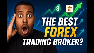 Market 101: The Best Forex Trading Broker
