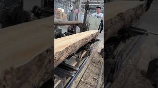 Wood Processing Factory | Good machine makes work easy