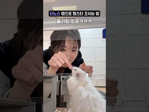 햄스터한테 타노스 랩 갈기기ㅋㅋ