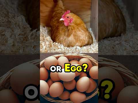 SOLVED: Chicken or Egg? ๐ซค