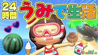 【あつ森】24時間海で生活【あつまれどうぶつの森】