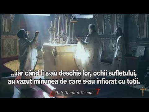 ... iar când li s-au deschis lor, ochii sufletului, au văzut minunea de care s-au înfiorat cu toții.