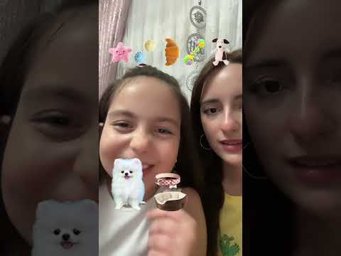 Bir tane köpeğin olsa hangisini seçerdin ? Zeynep Hiranur 🥰❤️😂💞💞💞