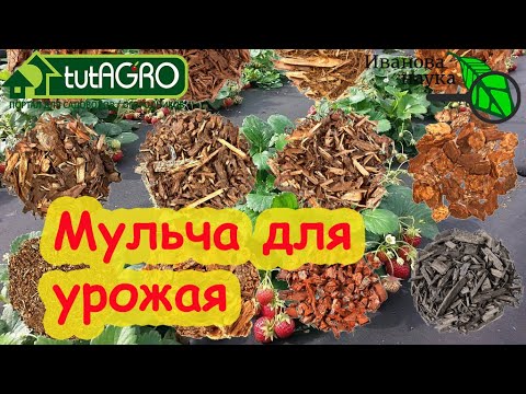 Разная мульча для разных случаев. Закисляет почву? Ворует азот? И другие стыдные вопросы о мульче.