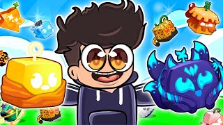 I Played BLOX FRUITS For the First Time!