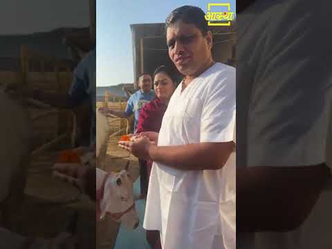 गौ सेवा व पूजन || Acharya Balkrishna