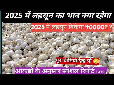 2025 में लहसून का भाव क्या रहेगा 🧄 लहसून भाव भविष्यवाणी 2025 / 2025 me lahsun ka bhav kya rahega