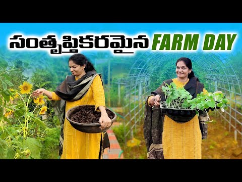 ఇలాంటి జీవన శైలి ప్రతిఒక్కరికి దొరకాలి 💚🙏☘️#Happy Gardening Life  @MADGARDENER