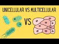 Unicellular vs Multicellular Organisms