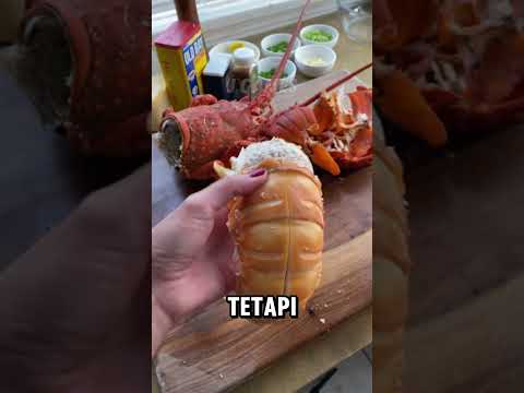 KEKUATAN CAPIT LOBSTER🥶