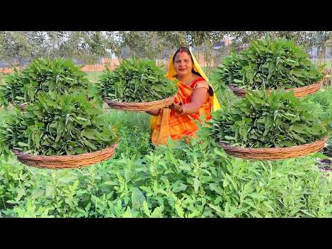 🌿 बथुआ की रेसिपी | आयरन से भरपूर बनाने का नया तरीका | Bathua Ki Kchoudi Recipe | Bathua Recipe