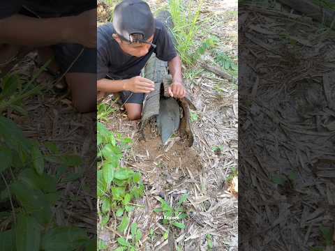 #nature #nest #wildlife #naturesvoice #animals #birdsong #monkey #shorts #trending #amazing