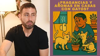 ¿Es malo que haya muchas fragancias y olores en casas con gatos?