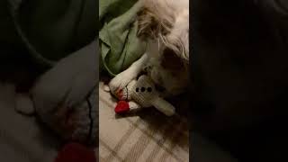 IMG 3888