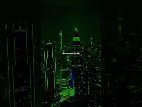 Noizy - Follow You | Lyrics | (She Never Go Back)