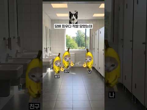 담배 피우다 적발 당했는데...