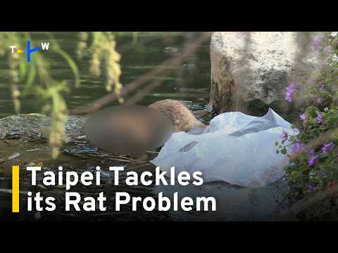 YouTube video thumbnail: Taipei Confronts Rising Rat Problem After Hantavirus Cases