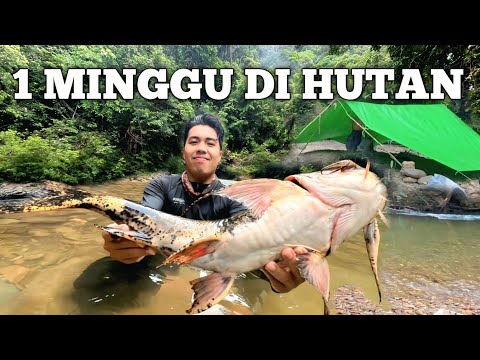 Camping Hujan Deras 1 Minggu di Hutan Sungai Kanyau Cuaca Buruk Fishing Camp Masak dan Makan Ikan