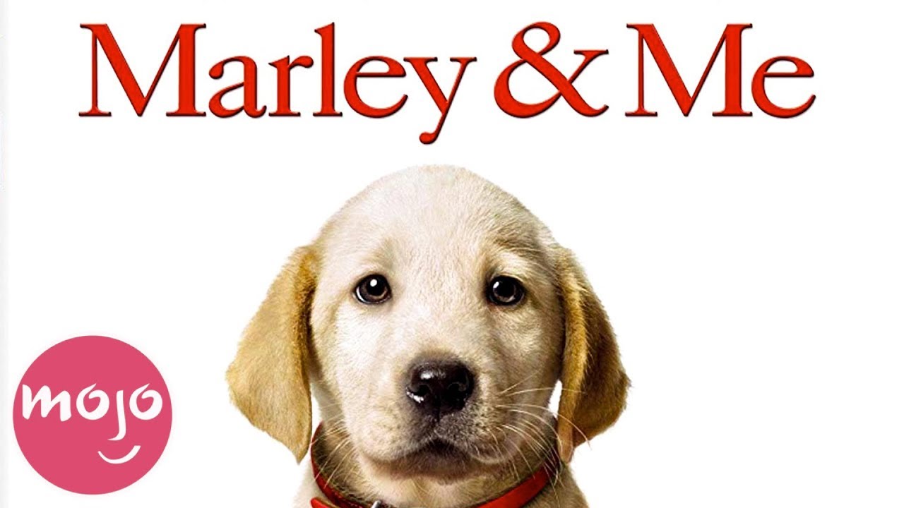 Top 10 Best Dog Movies