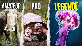 TOP 10 Des Animaux 💀 Immortels