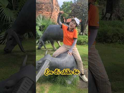 Trời nắng chang chang em đi chăn bò #shortvideo
