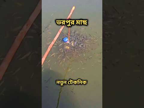 বোতল দিয়ে ভরপুর মাছ 🙋‍♂️ এটা কিভাবে সম্ভব 😲#fishing #villagefishing